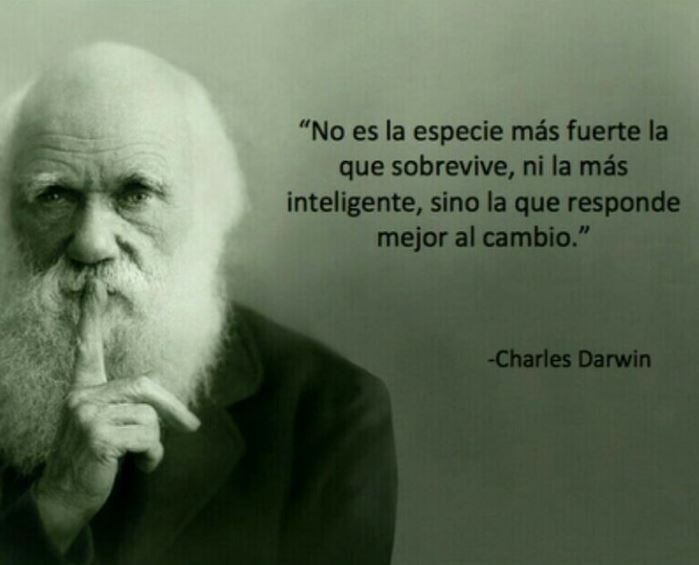 Frases Célebres - Charles Darwin | Imanbox